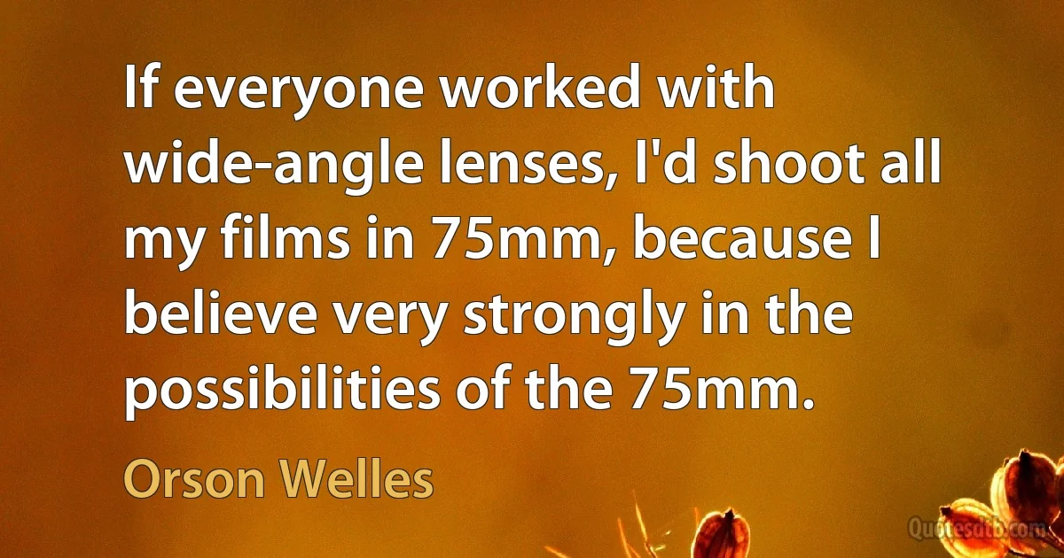 If everyone worked with wide-angle lenses, I'd shoot all my films in 75mm, because I believe very strongly in the possibilities of the 75mm. (Orson Welles)