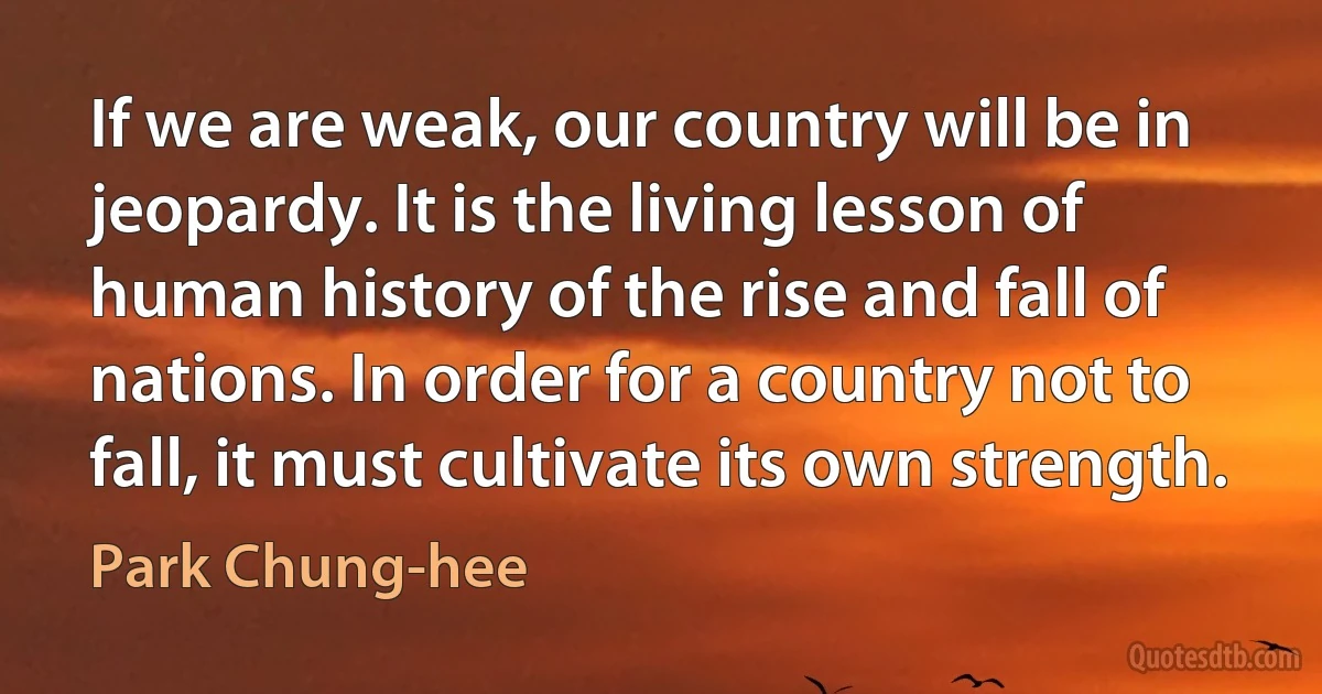 If we are weak, our country will be in jeopardy. It is the living lesson of human history of the rise and fall of nations. In order for a country not to fall, it must cultivate its own strength. (Park Chung-hee)