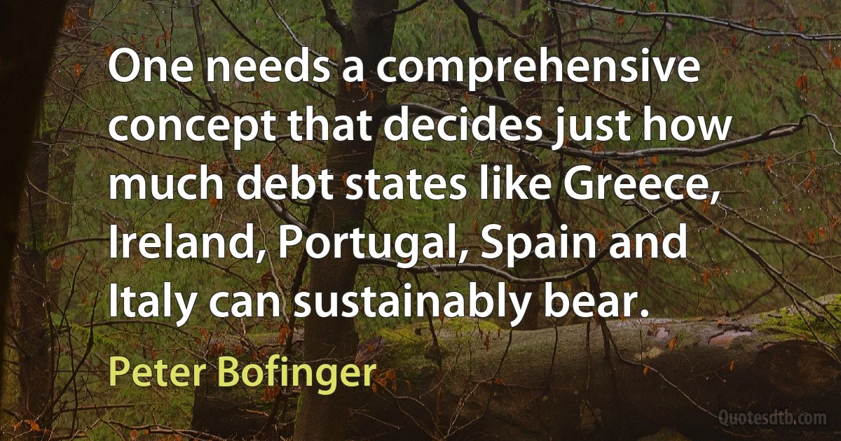 One needs a comprehensive concept that decides just how much debt states like Greece, Ireland, Portugal, Spain and Italy can sustainably bear. (Peter Bofinger)