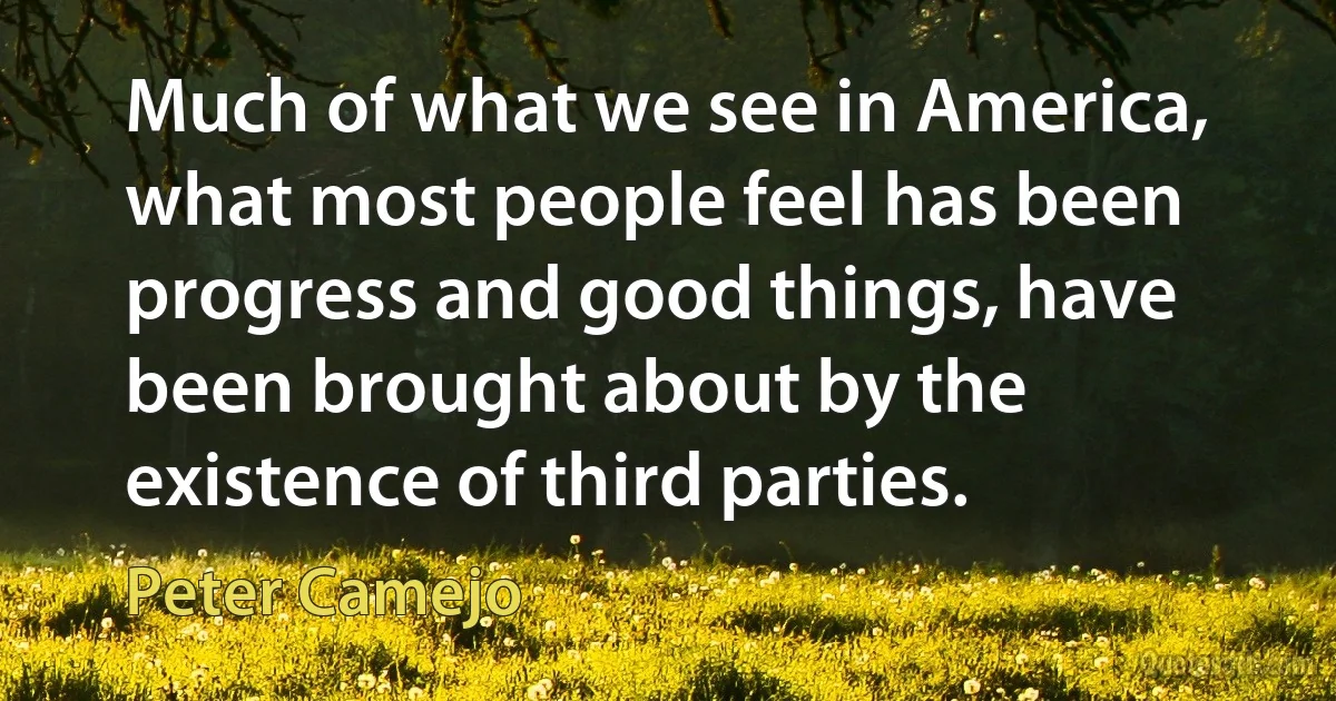 Much of what we see in America, what most people feel has been progress and good things, have been brought about by the existence of third parties. (Peter Camejo)