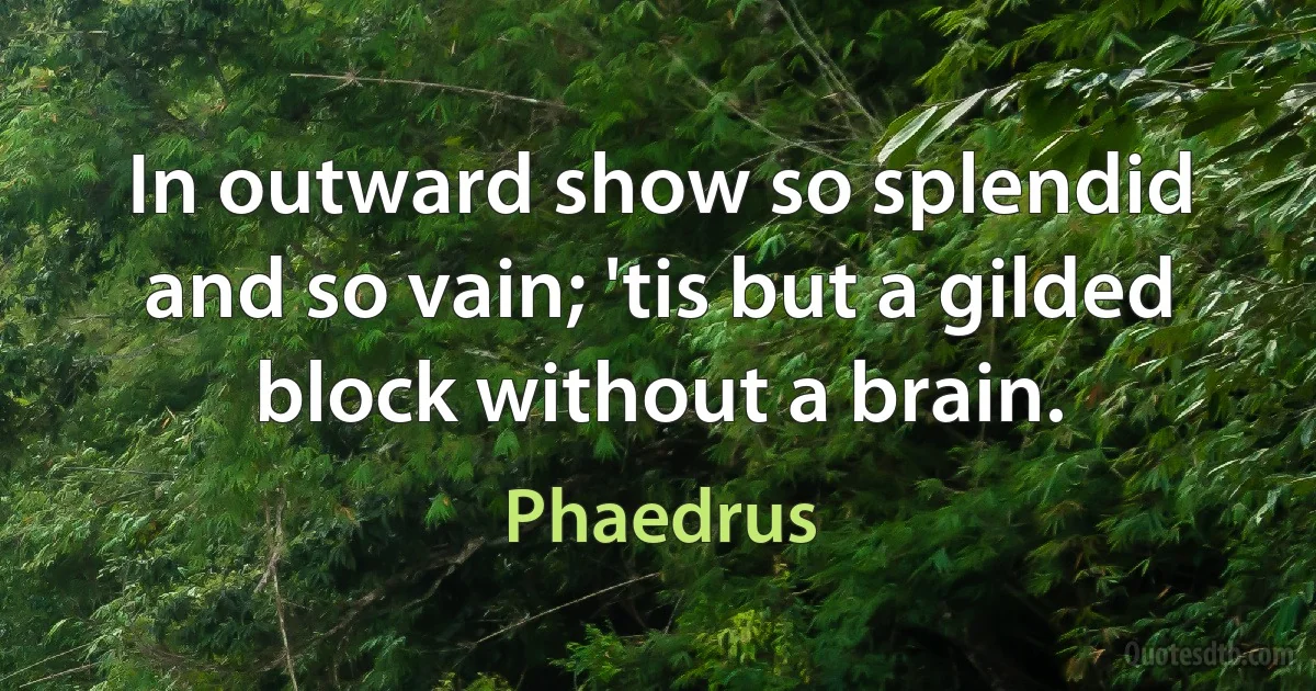 In outward show so splendid and so vain; 'tis but a gilded block without a brain. (Phaedrus)