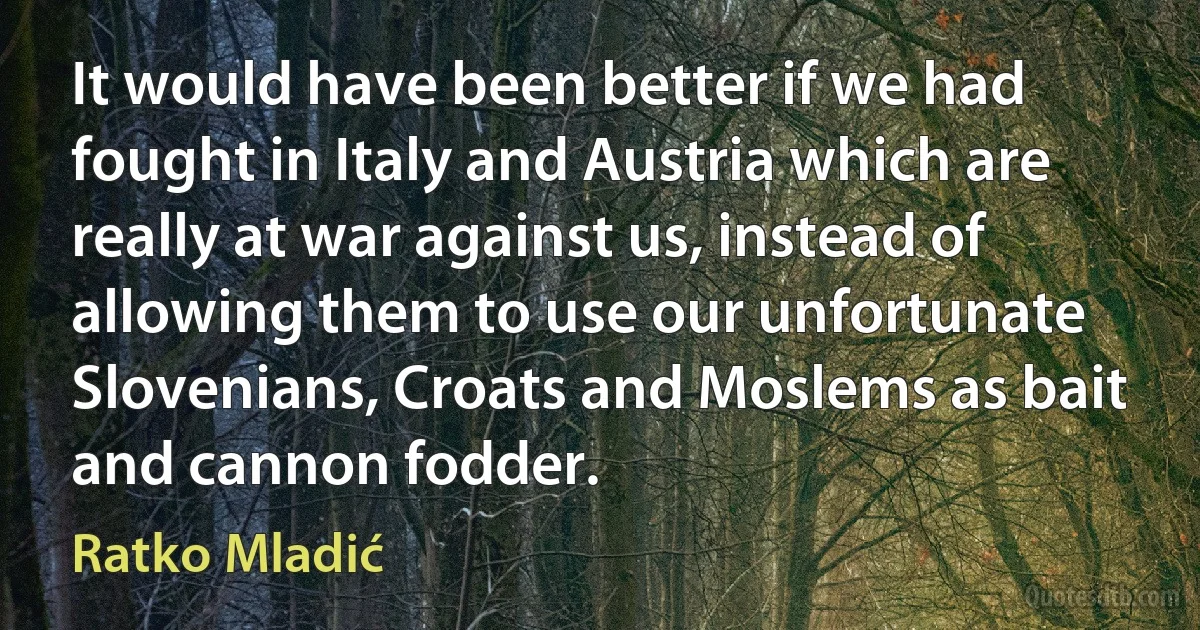 It would have been better if we had fought in Italy and Austria which are really at war against us, instead of allowing them to use our unfortunate Slovenians, Croats and Moslems as bait and cannon fodder. (Ratko Mladić)