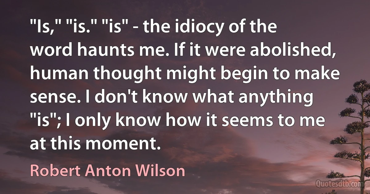 "Is," "is." "is" - the idiocy of the word haunts me. If it were abolished, human thought might begin to make sense. I don't know what anything "is"; I only know how it seems to me at this moment. (Robert Anton Wilson)