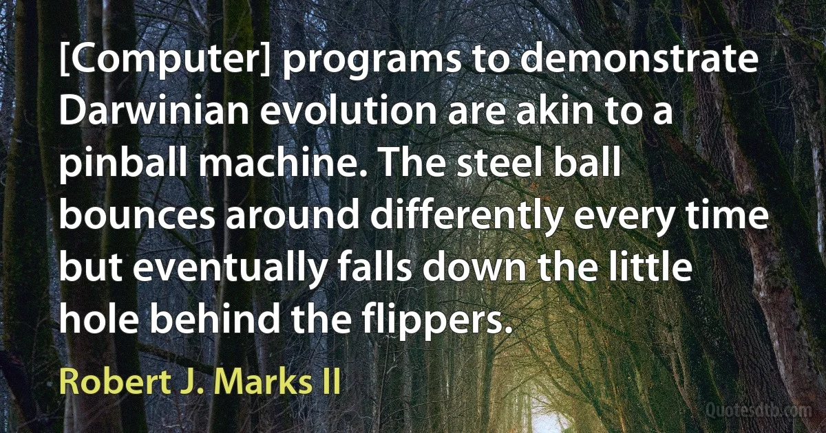 [Computer] programs to demonstrate Darwinian evolution are akin to a pinball machine. The steel ball bounces around differently every time but eventually falls down the little hole behind the flippers. (Robert J. Marks II)