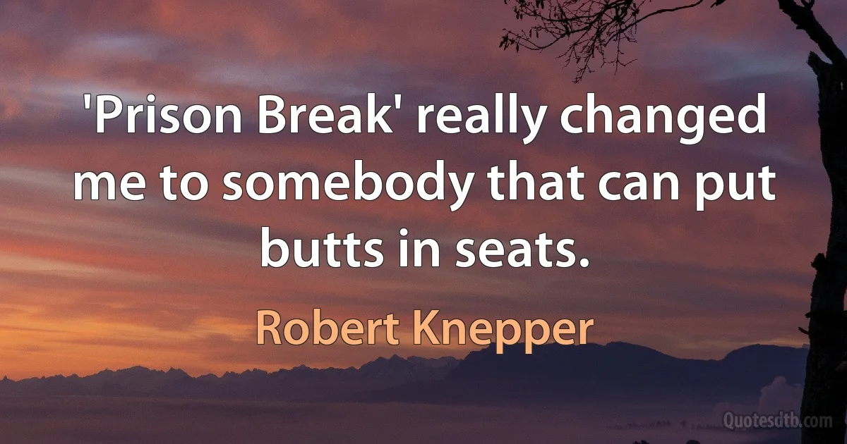 'Prison Break' really changed me to somebody that can put butts in seats. (Robert Knepper)