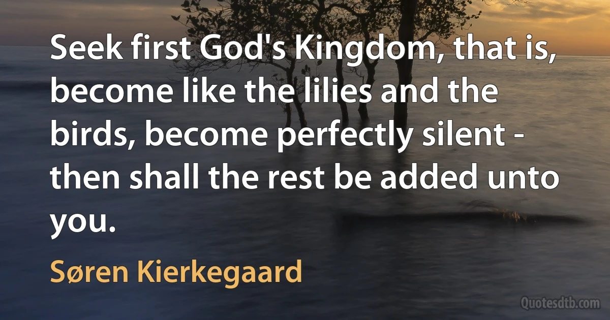 Seek first God's Kingdom, that is, become like the lilies and the birds, become perfectly silent - then shall the rest be added unto you. (Søren Kierkegaard)