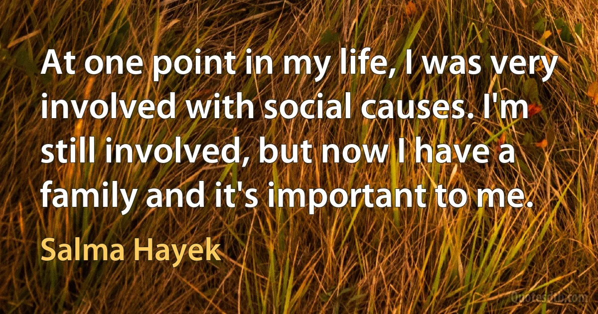 At one point in my life, I was very involved with social causes. I'm still involved, but now I have a family and it's important to me. (Salma Hayek)