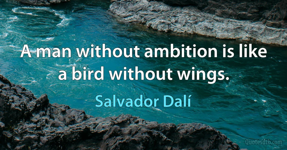 A man without ambition is like a bird without wings. (Salvador Dalí)