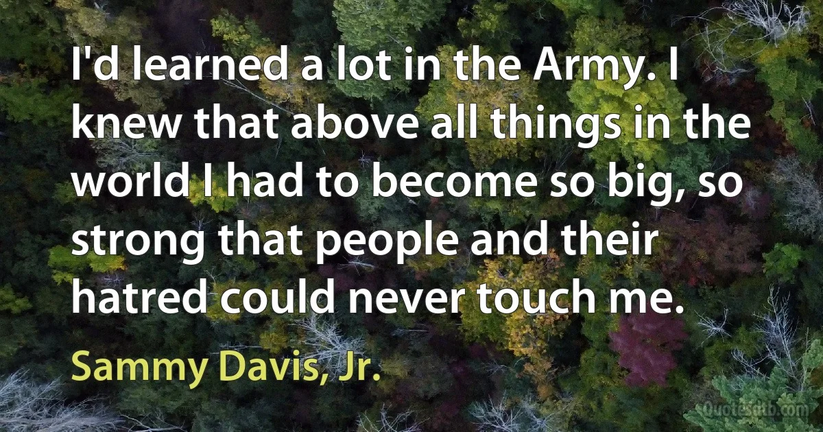 I'd learned a lot in the Army. I knew that above all things in the world I had to become so big, so strong that people and their hatred could never touch me. (Sammy Davis, Jr.)