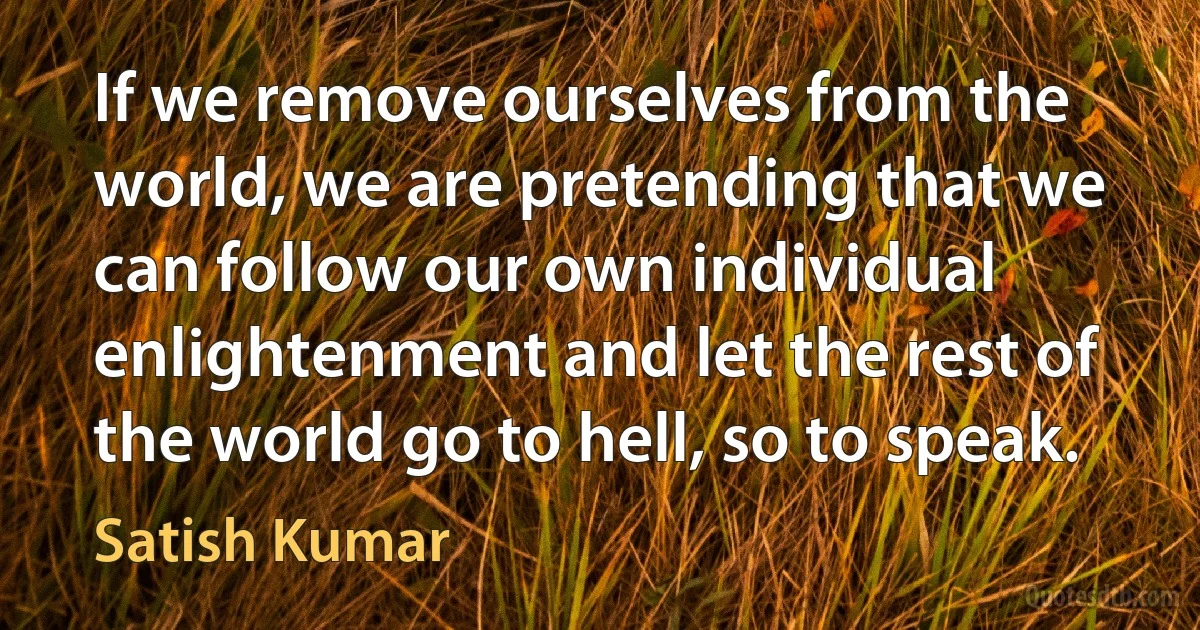 If we remove ourselves from the world, we are pretending that we can follow our own individual enlightenment and let the rest of the world go to hell, so to speak. (Satish Kumar)