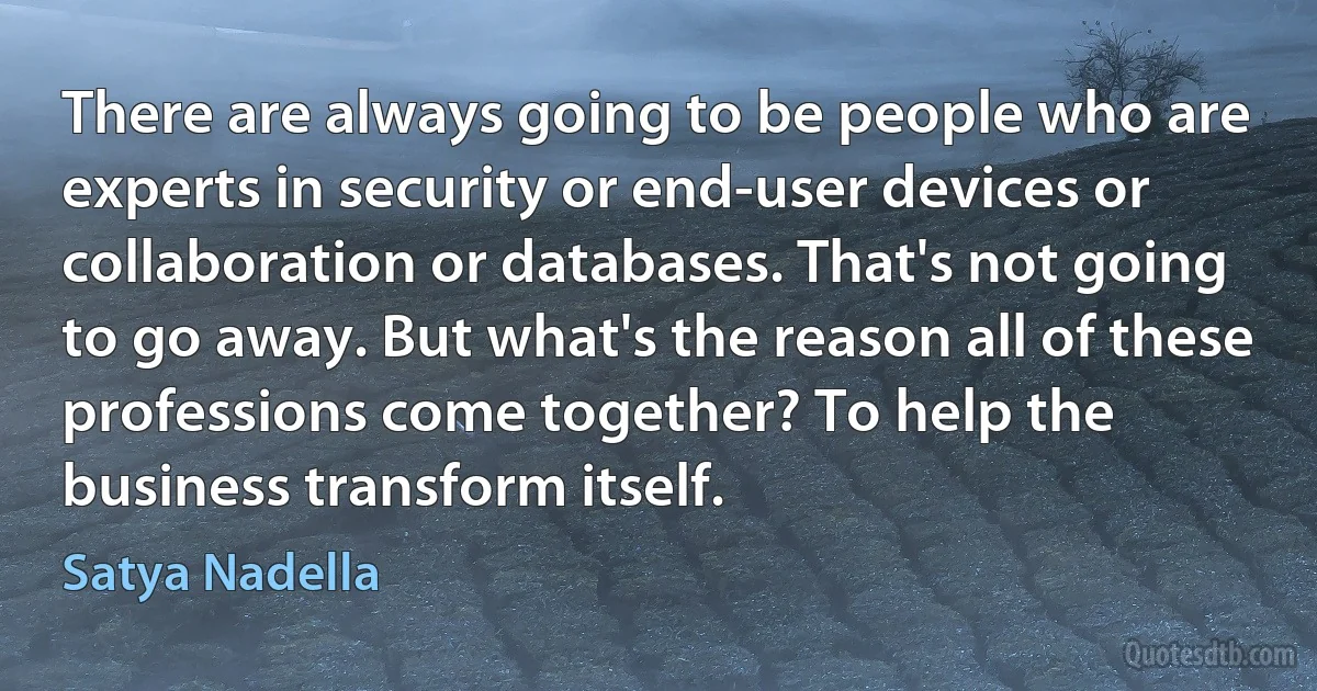 There are always going to be people who are experts in security or end-user devices or collaboration or databases. That's not going to go away. But what's the reason all of these professions come together? To help the business transform itself. (Satya Nadella)