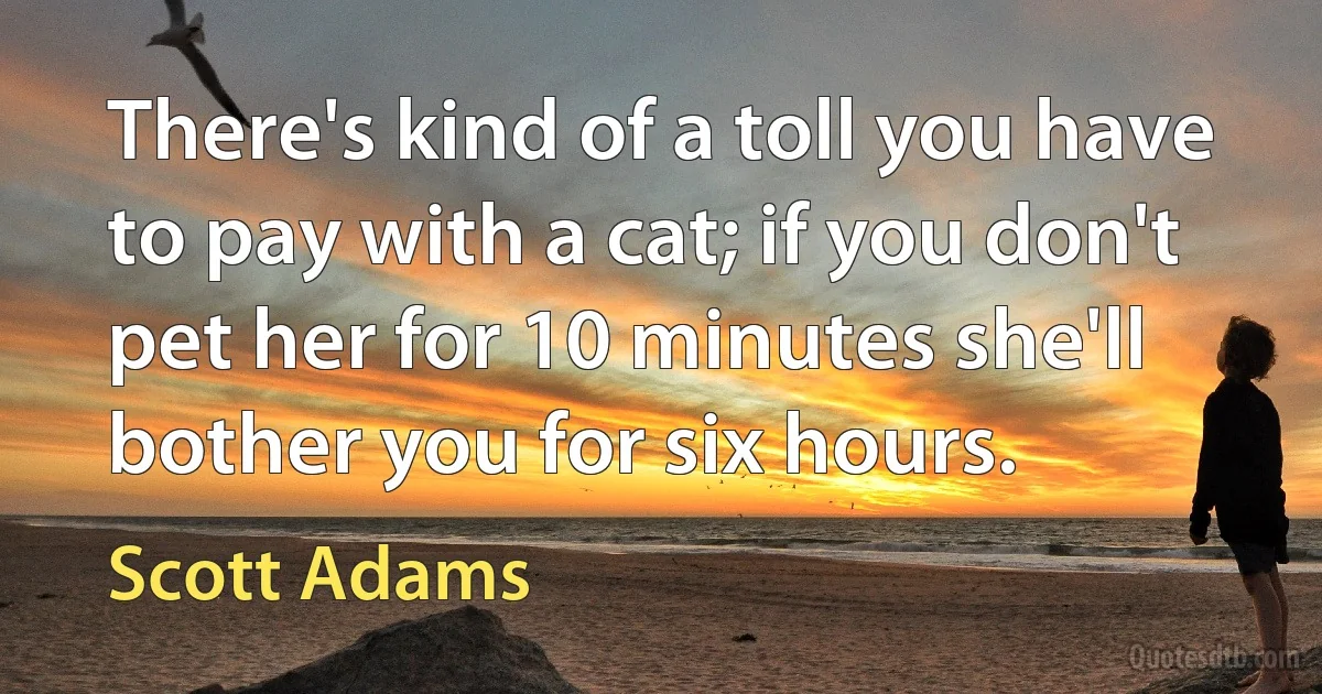 There's kind of a toll you have to pay with a cat; if you don't pet her for 10 minutes she'll bother you for six hours. (Scott Adams)