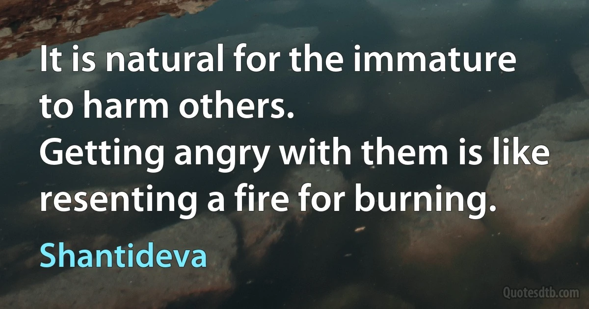 It is natural for the immature to harm others.
Getting angry with them is like resenting a fire for burning. (Shantideva)