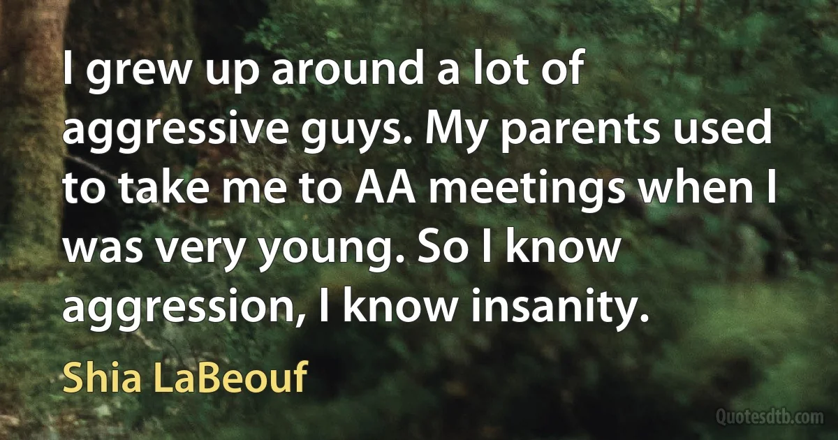 I grew up around a lot of aggressive guys. My parents used to take me to AA meetings when I was very young. So I know aggression, I know insanity. (Shia LaBeouf)