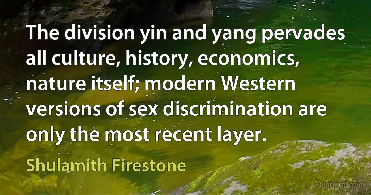 The division yin and yang pervades all culture, history, economics, nature itself; modern Western versions of sex discrimination are only the most recent layer. (Shulamith Firestone)