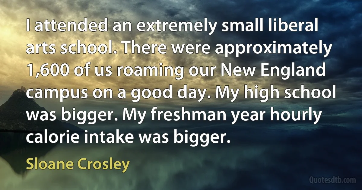 I attended an extremely small liberal arts school. There were approximately 1,600 of us roaming our New England campus on a good day. My high school was bigger. My freshman year hourly calorie intake was bigger. (Sloane Crosley)