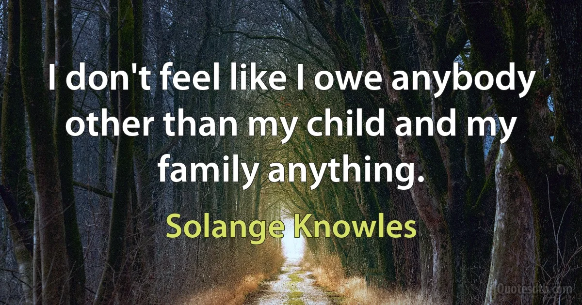 I don't feel like I owe anybody other than my child and my family anything. (Solange Knowles)