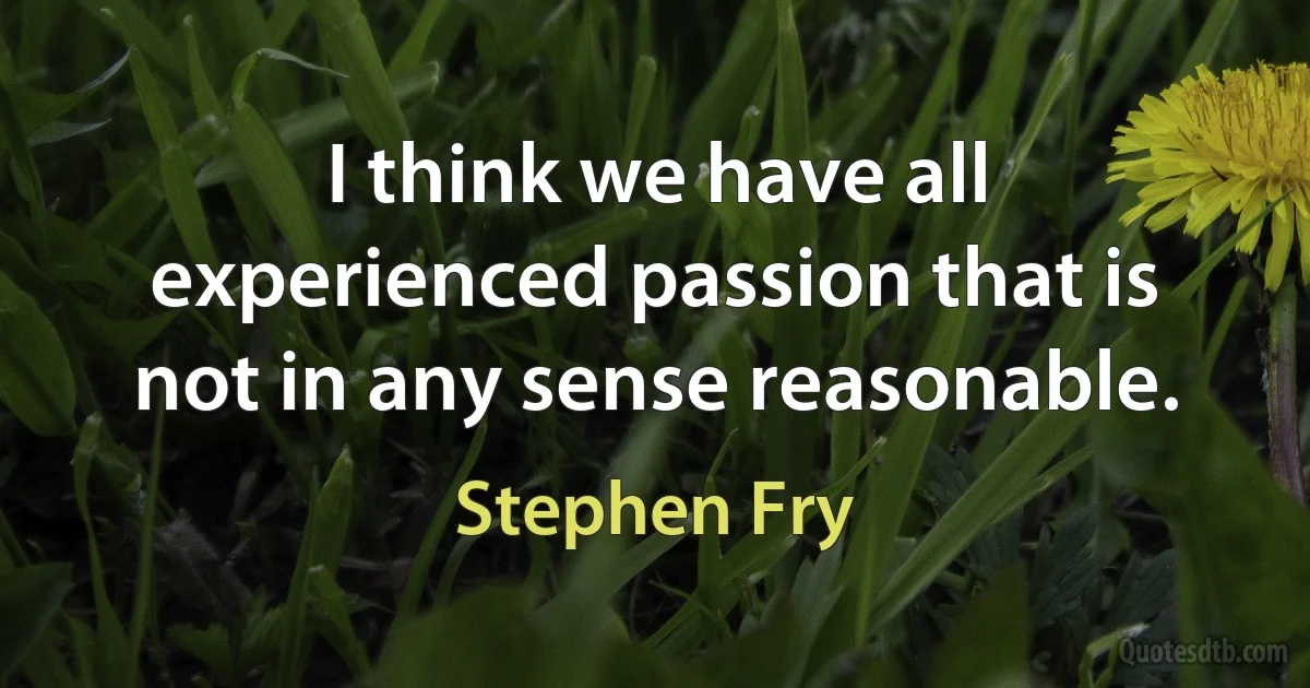 I think we have all experienced passion that is not in any sense reasonable. (Stephen Fry)