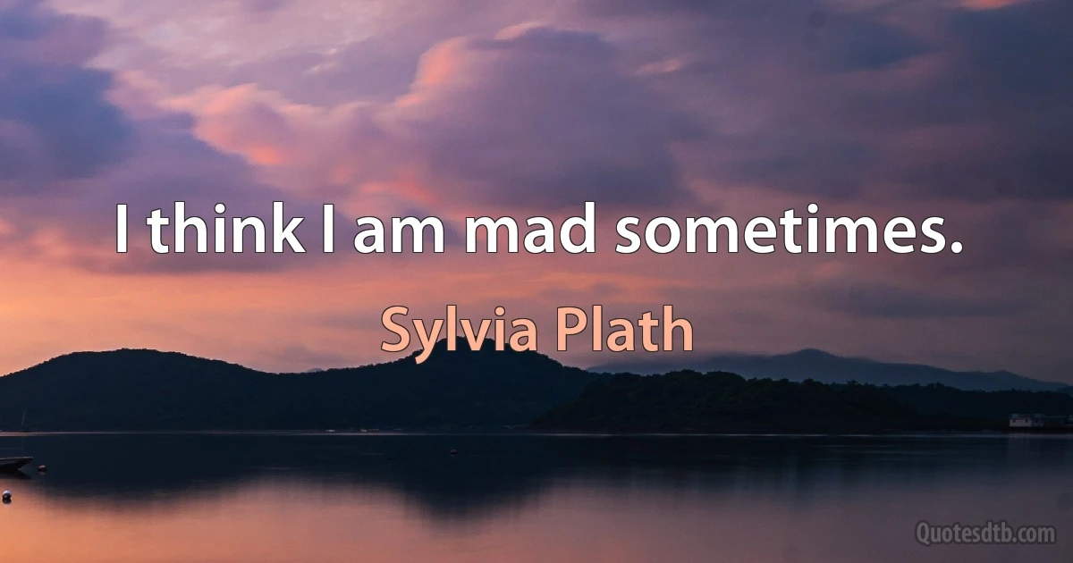 I think I am mad sometimes. (Sylvia Plath)