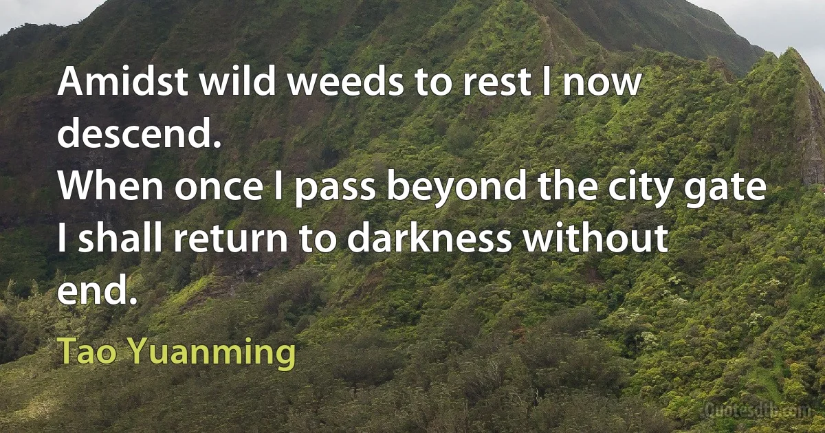 Amidst wild weeds to rest I now descend.
When once I pass beyond the city gate
I shall return to darkness without end. (Tao Yuanming)