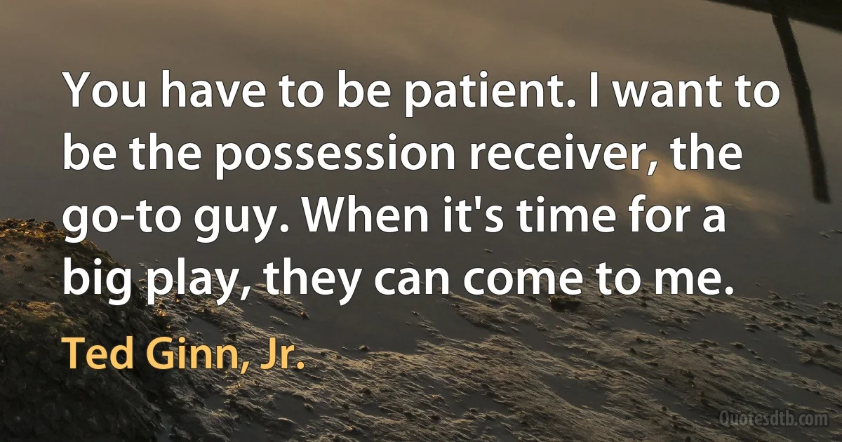 You have to be patient. I want to be the possession receiver, the go-to guy. When it's time for a big play, they can come to me. (Ted Ginn, Jr.)