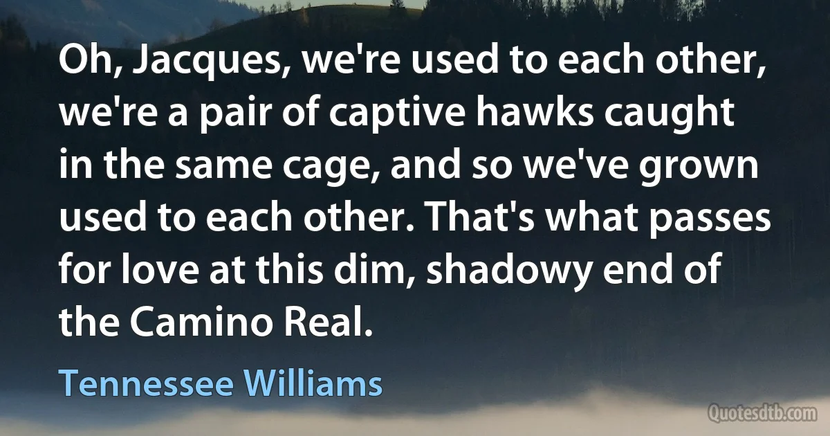 Oh, Jacques, we're used to each other, we're a pair of captive hawks caught in the same cage, and so we've grown used to each other. That's what passes for love at this dim, shadowy end of the Camino Real. (Tennessee Williams)