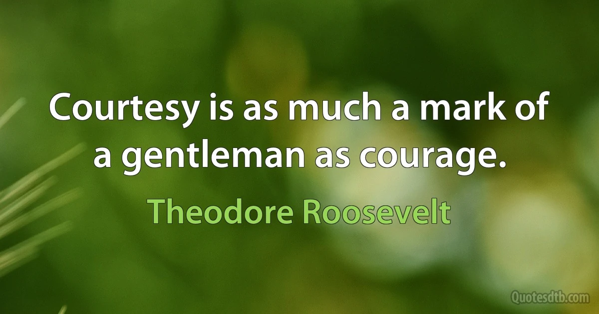 Courtesy is as much a mark of a gentleman as courage. (Theodore Roosevelt)