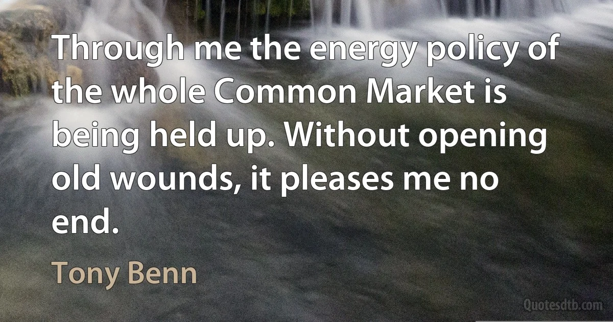 Through me the energy policy of the whole Common Market is being held up. Without opening old wounds, it pleases me no end. (Tony Benn)