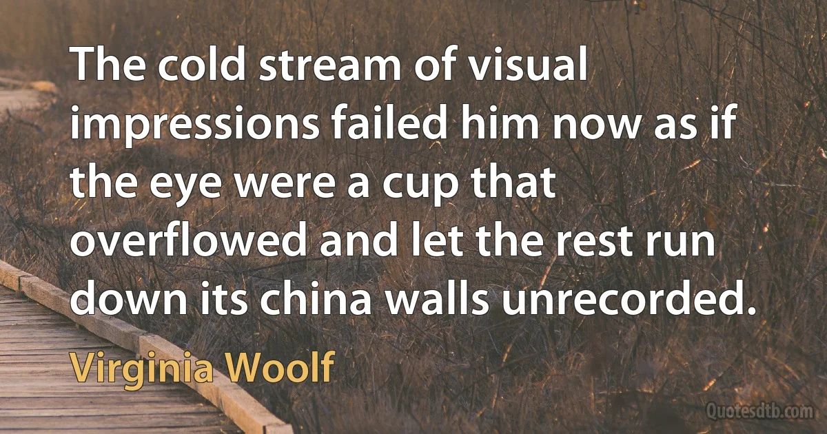 The cold stream of visual impressions failed him now as if the eye were a cup that overflowed and let the rest run down its china walls unrecorded. (Virginia Woolf)