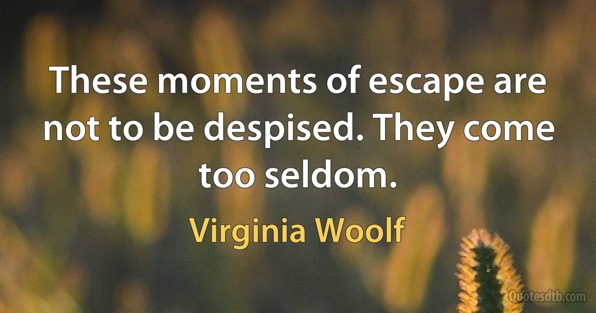 These moments of escape are not to be despised. They come too seldom. (Virginia Woolf)