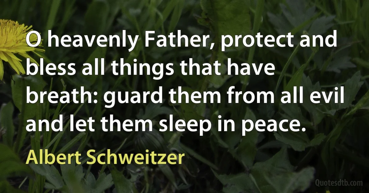 O heavenly Father, protect and bless all things that have breath: guard them from all evil and let them sleep in peace. (Albert Schweitzer)