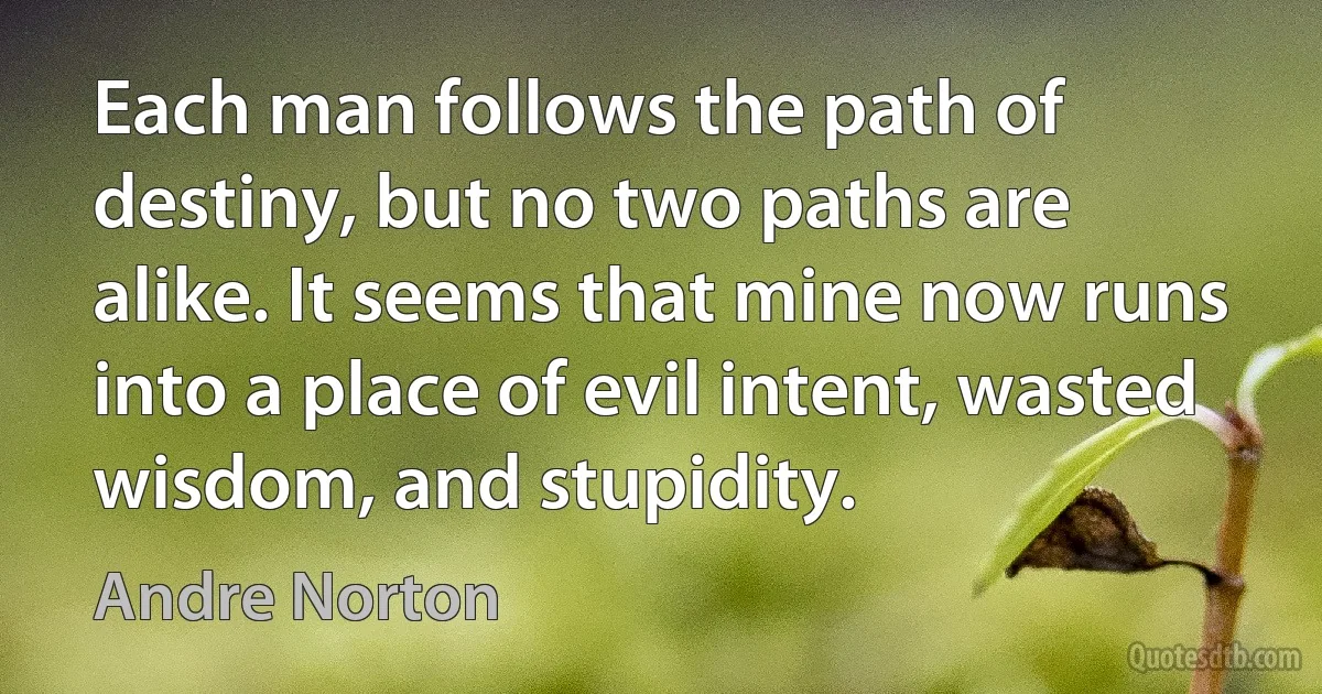 Each man follows the path of destiny, but no two paths are alike. It seems that mine now runs into a place of evil intent, wasted wisdom, and stupidity. (Andre Norton)