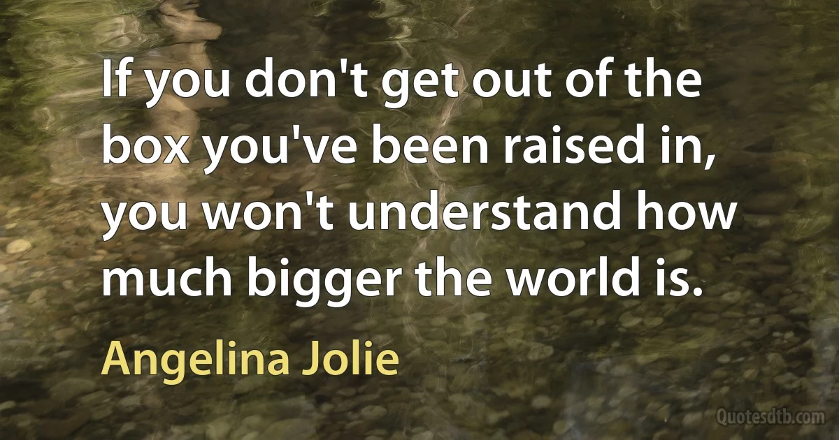 If you don't get out of the box you've been raised in, you won't understand how much bigger the world is. (Angelina Jolie)