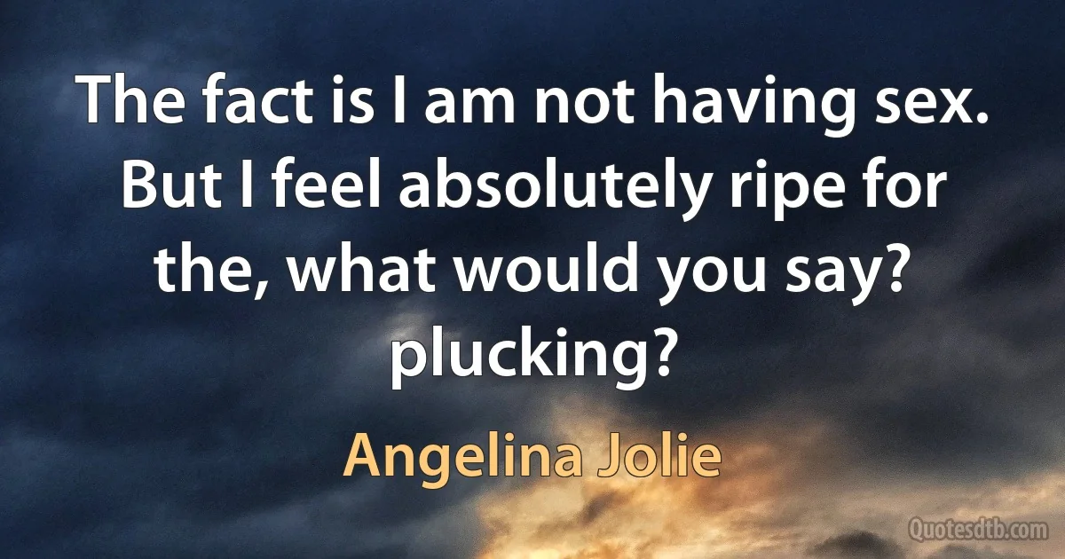 The fact is I am not having sex. But I feel absolutely ripe for the, what would you say? plucking? (Angelina Jolie)