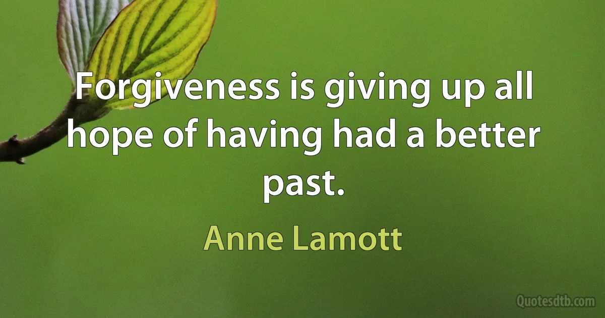 Forgiveness is giving up all hope of having had a better past. (Anne Lamott)