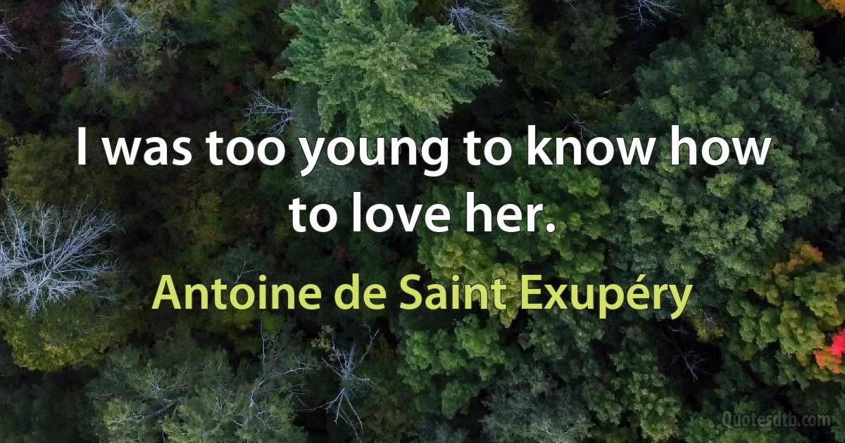 I was too young to know how to love her. (Antoine de Saint Exupéry)