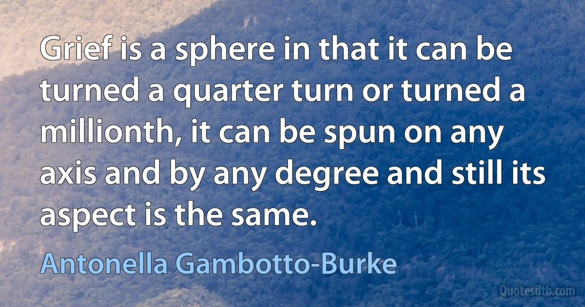 Grief is a sphere in that it can be turned a quarter turn or turned a millionth, it can be spun on any axis and by any degree and still its aspect is the same. (Antonella Gambotto-Burke)