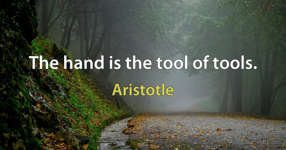 The hand is the tool of tools. (Aristotle)