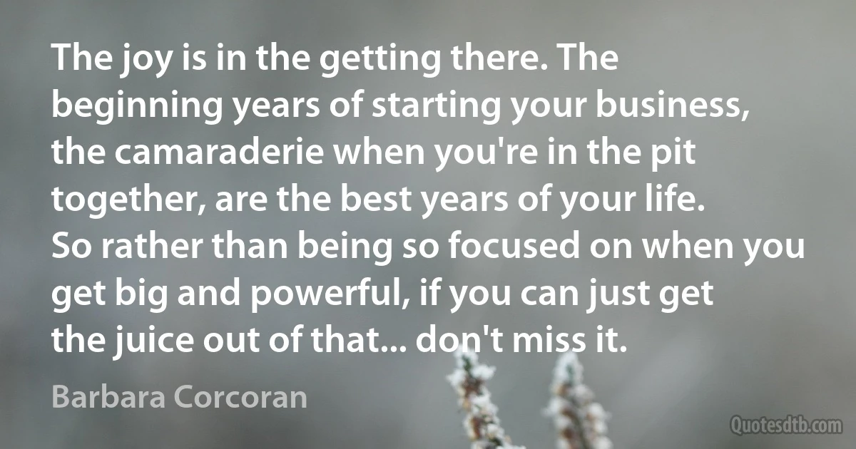 The joy is in the getting there. The beginning years of starting your business, the camaraderie when you're in the pit together, are the best years of your life. So rather than being so focused on when you get big and powerful, if you can just get the juice out of that... don't miss it. (Barbara Corcoran)