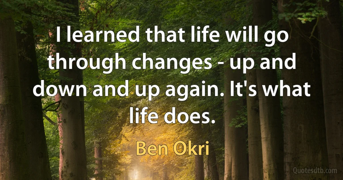 I learned that life will go through changes - up and down and up again. It's what life does. (Ben Okri)