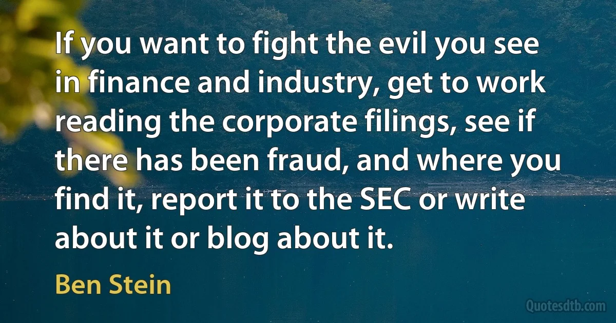 If you want to fight the evil you see in finance and industry, get to work reading the corporate filings, see if there has been fraud, and where you find it, report it to the SEC or write about it or blog about it. (Ben Stein)