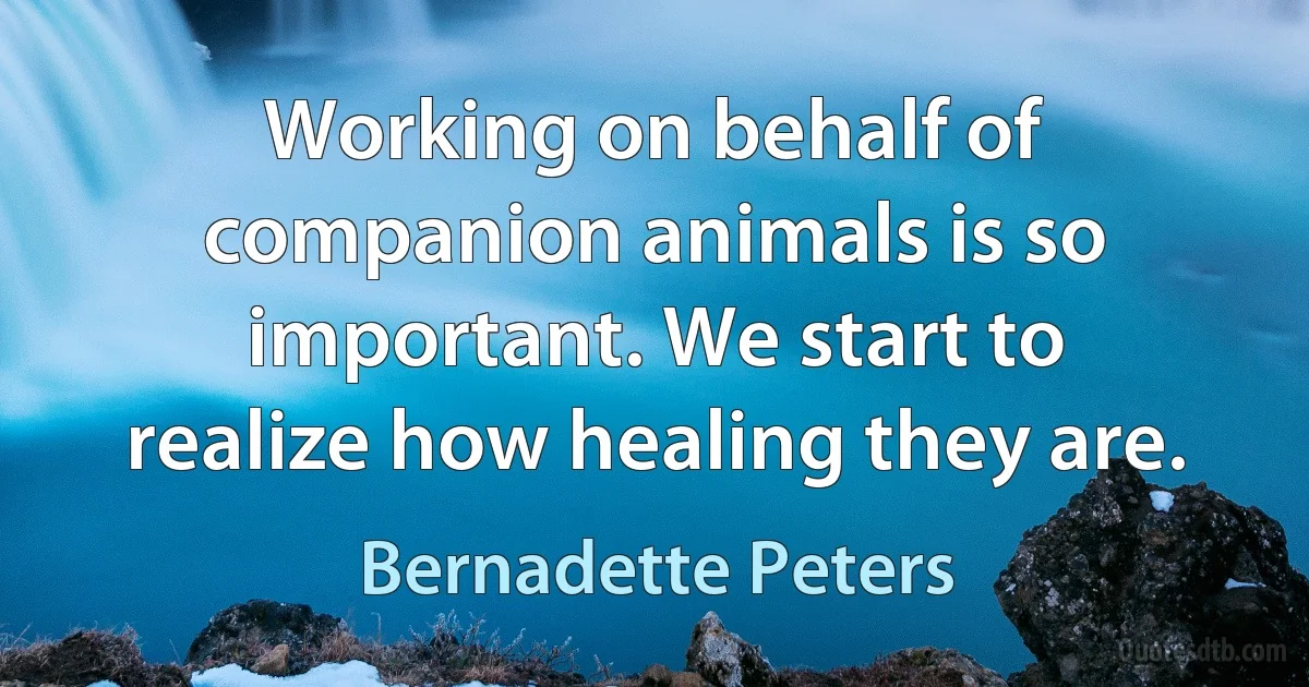 Working on behalf of companion animals is so important. We start to realize how healing they are. (Bernadette Peters)