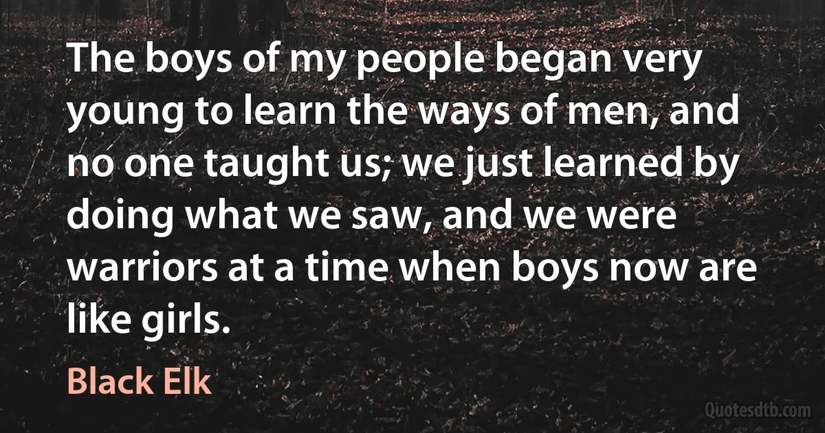 The boys of my people began very young to learn the ways of men, and no one taught us; we just learned by doing what we saw, and we were warriors at a time when boys now are like girls. (Black Elk)