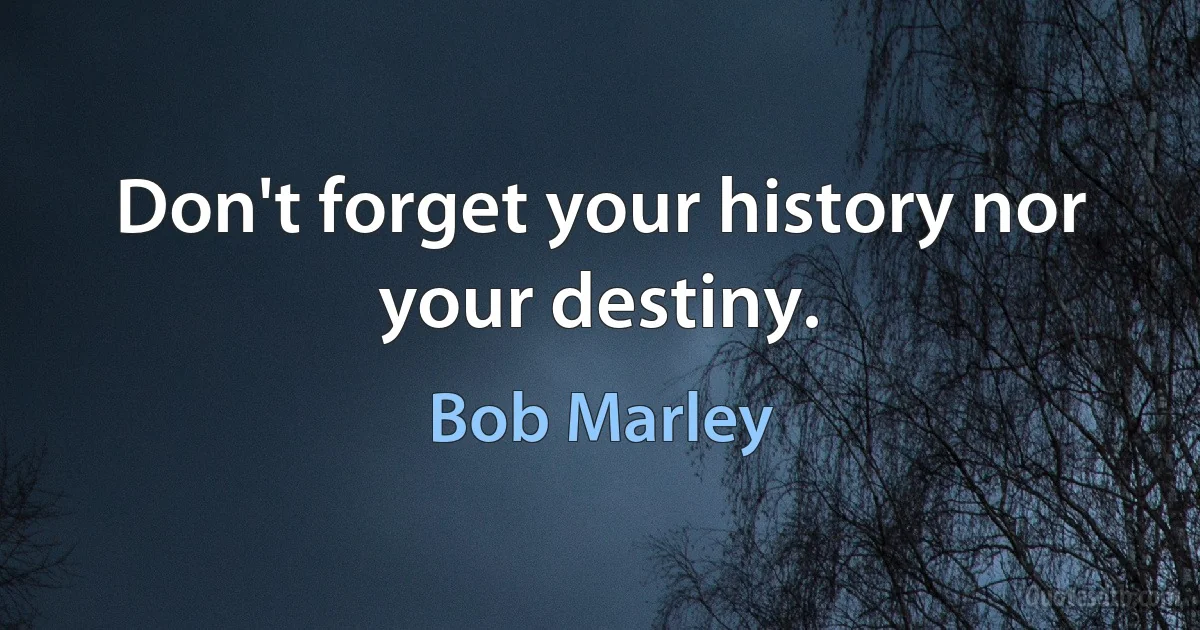 Don't forget your history nor your destiny. (Bob Marley)