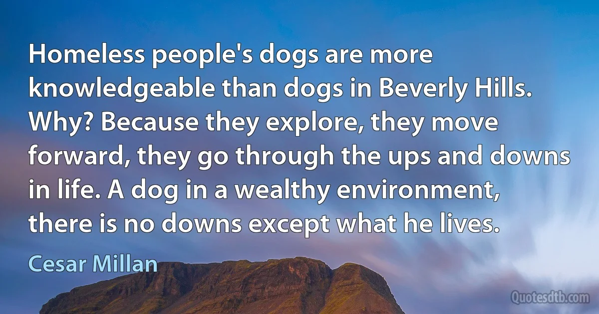 Homeless people's dogs are more knowledgeable than dogs in Beverly Hills. Why? Because they explore, they move forward, they go through the ups and downs in life. A dog in a wealthy environment, there is no downs except what he lives. (Cesar Millan)