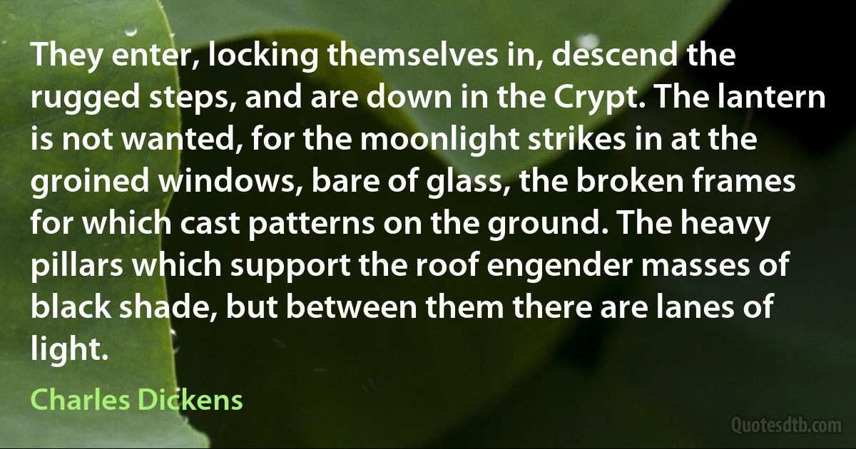 They enter, locking themselves in, descend the rugged steps, and are down in the Crypt. The lantern is not wanted, for the moonlight strikes in at the groined windows, bare of glass, the broken frames for which cast patterns on the ground. The heavy pillars which support the roof engender masses of black shade, but between them there are lanes of light. (Charles Dickens)