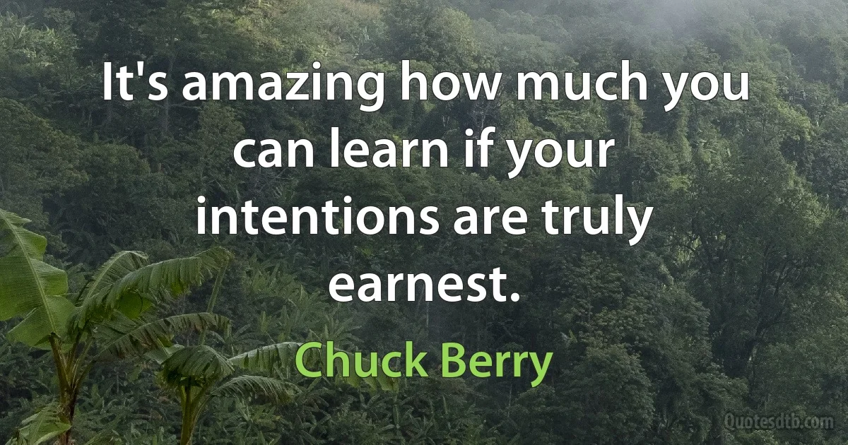 It's amazing how much you can learn if your intentions are truly earnest. (Chuck Berry)