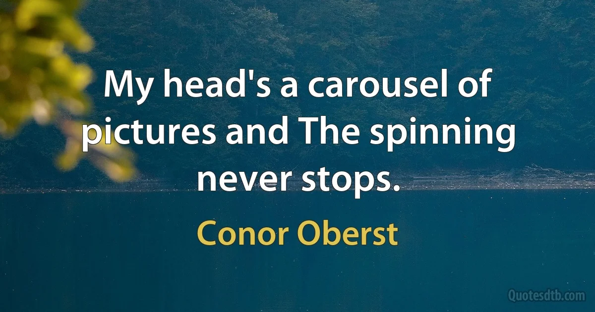 My head's a carousel of pictures and The spinning never stops. (Conor Oberst)