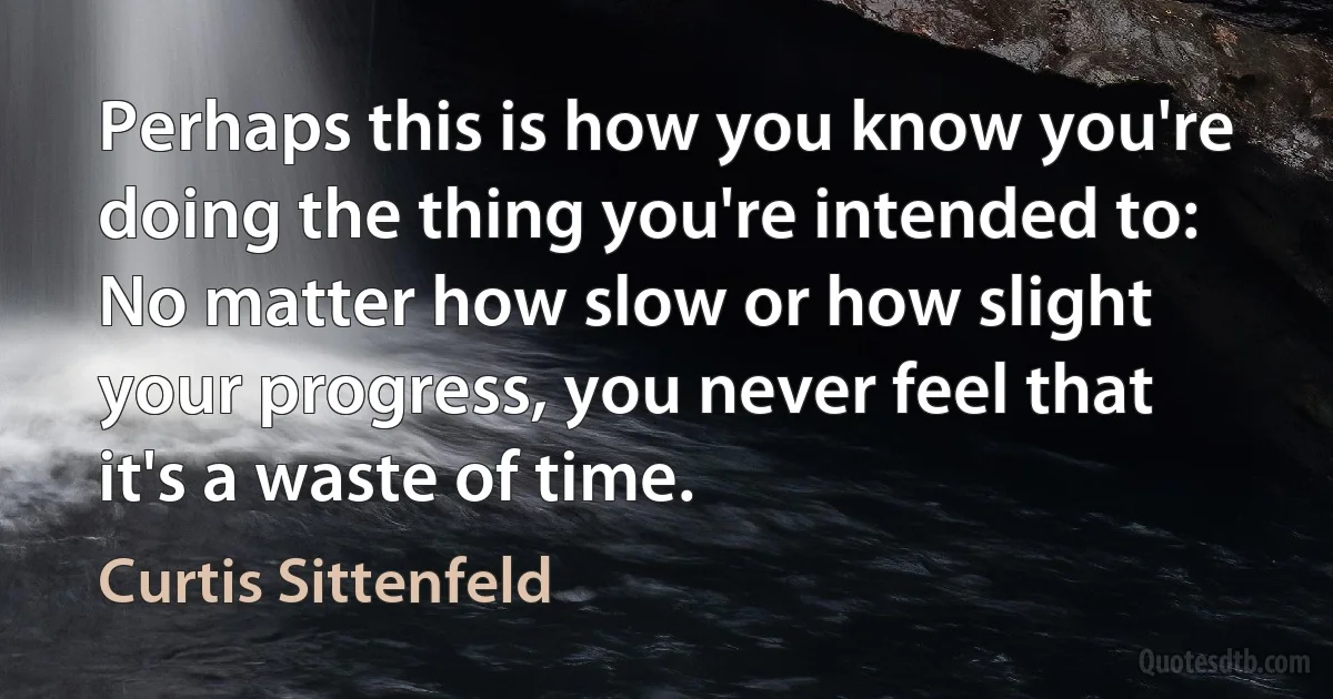 Perhaps this is how you know you're doing the thing you're intended to: No matter how slow or how slight your progress, you never feel that it's a waste of time. (Curtis Sittenfeld)