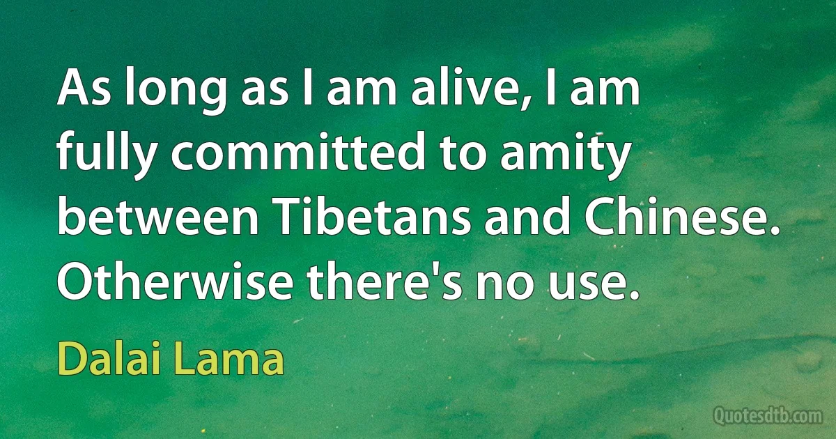 As long as I am alive, I am fully committed to amity between Tibetans and Chinese. Otherwise there's no use. (Dalai Lama)